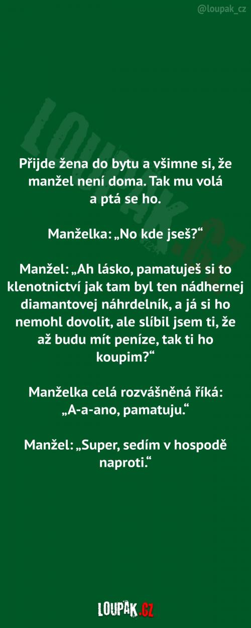  Manželka shání svého manžela 