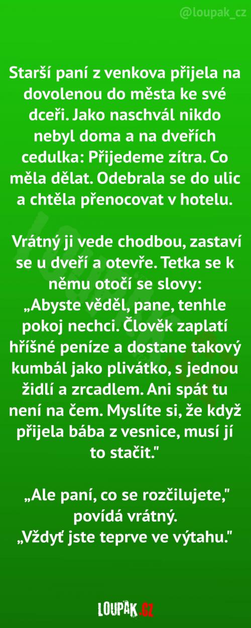  Venkovanka v městském hotelu 