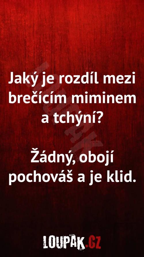  Rozdíl mezi brečícím miminem a tchýní 