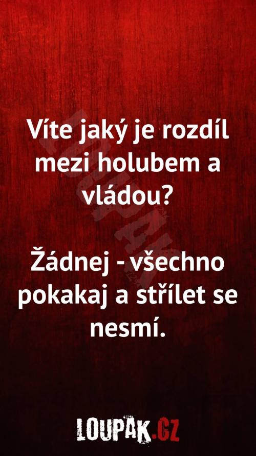  Rozdíl mezi holubem a vládou 