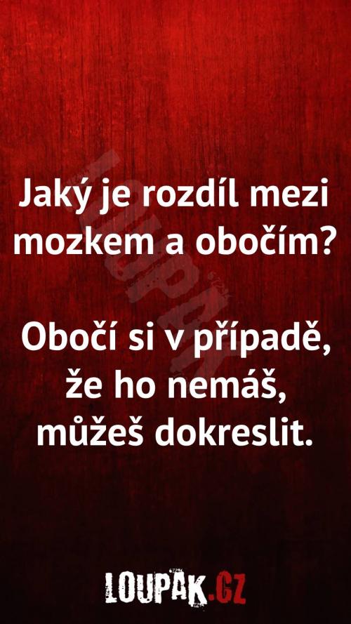  Rozdíl mezi mozkem a obočím 