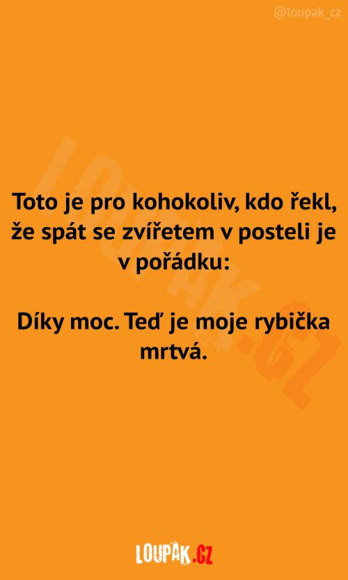  Vzkaz pro všechny ty blbce 