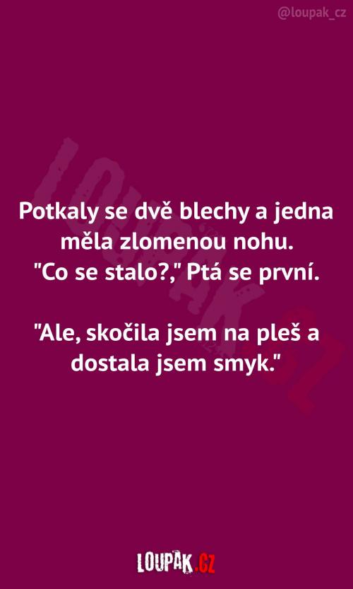  Blecha se zlomenou nohou 