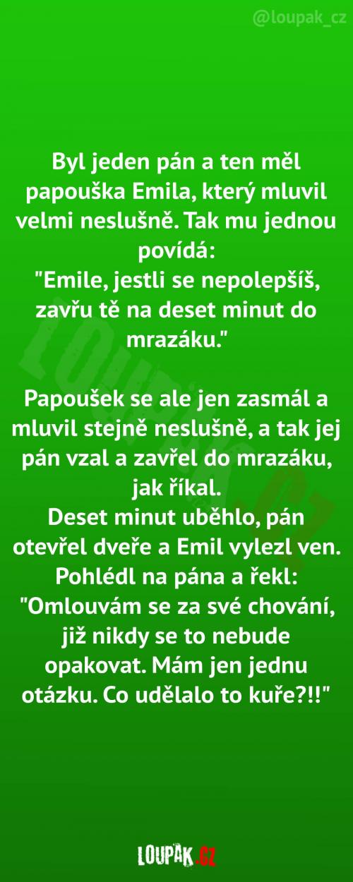  Vulgární papoušek Emil 