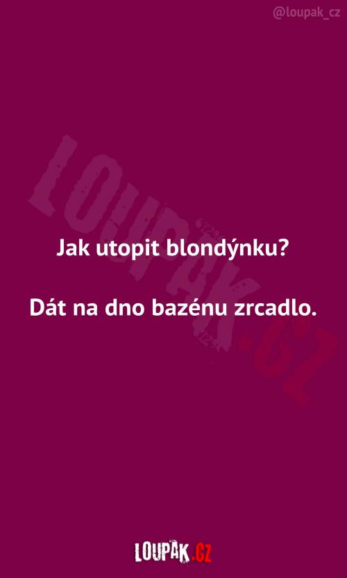  jak utopit doktorku blondýnku aneb konec vodníků v Čechách 