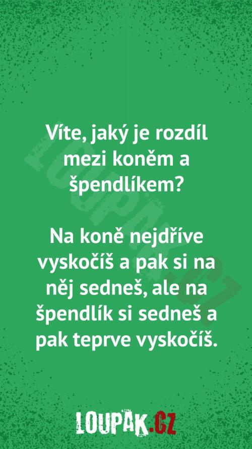  Rozdíl mezi koněm a špendlíkem 