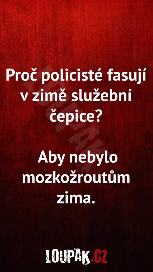  Proč policisté fasují v zimě služební čepice 