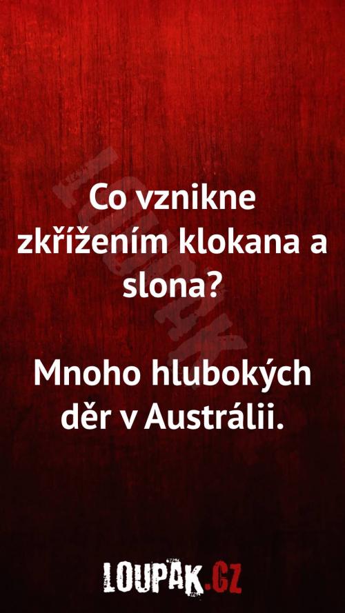  Co vznikne zkřížením klokana a slona 