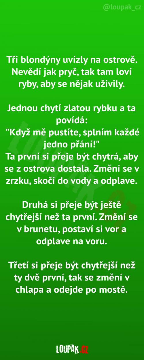  Když chce být nejchytřejší 