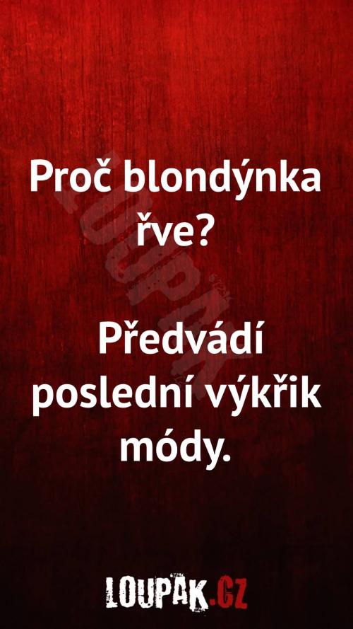  Proč blondýnka řve... 