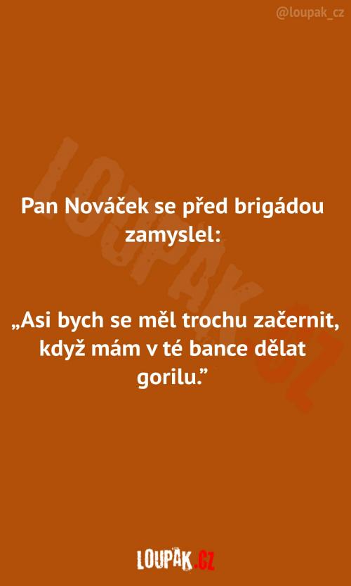  Pan Nováček před brigádou 