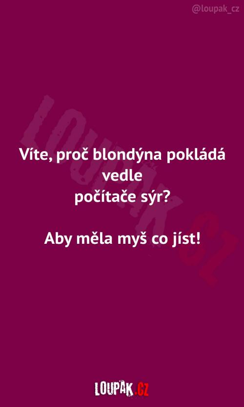  Proč dát vedle počítače sýr? 