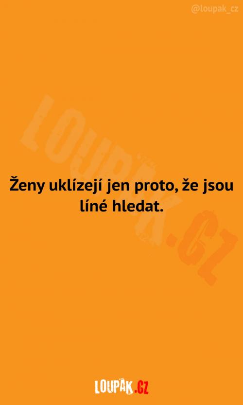  Proč vlastně ženy uklízejí? 