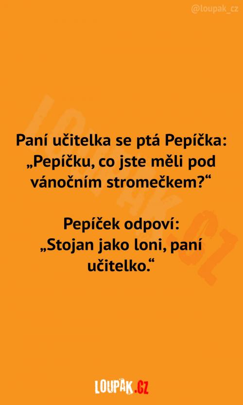 co jste měli pod stromečkem?