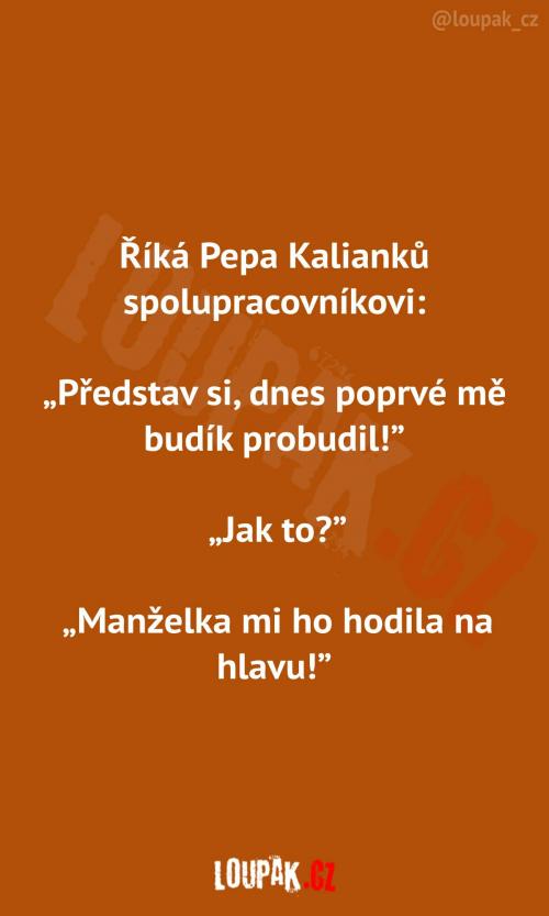  Úžasná zpráva hned po ránu 