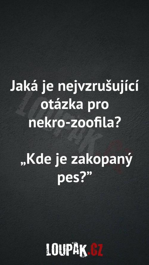  Jaká je nejvzrušující otázka pro nekro-zoofila 