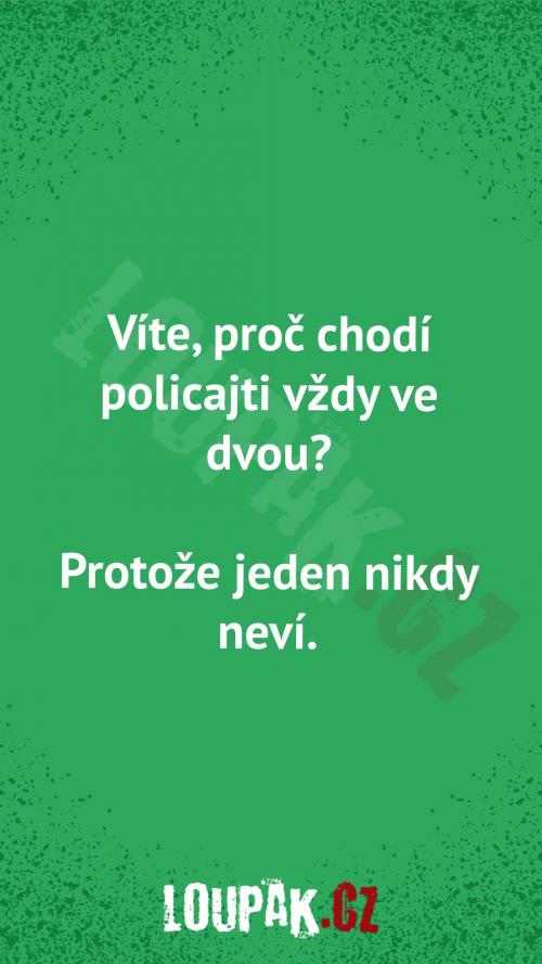  Proč chodí policajti vždy ve dvou 