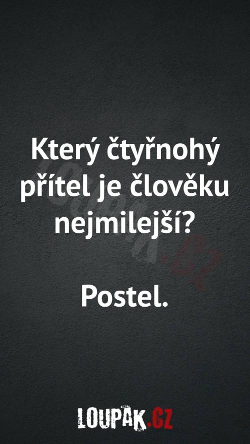  Který čtyřnohý přítel je člověku nejmilejší 