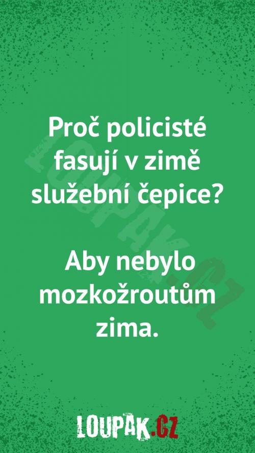  Proč policisté fasují v zimě služební čepice 