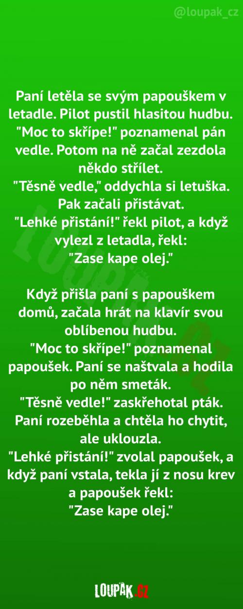 Papoušek opakuje hlasy z letadla