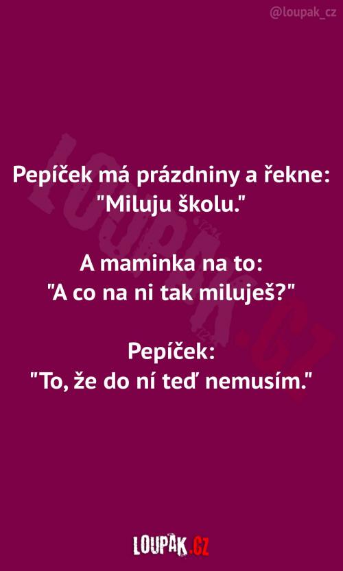  Co má Pepíček nejraději na škole 