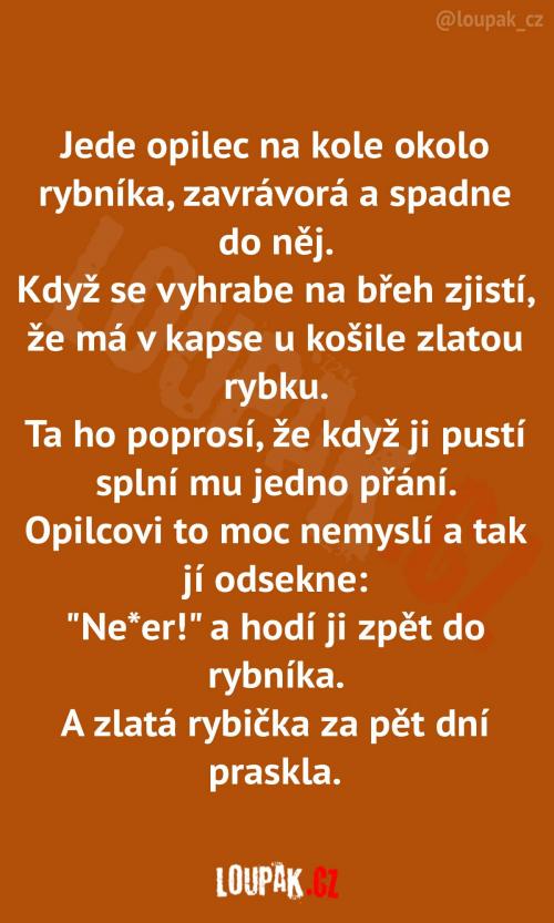  Opilec a zlatá rybka  