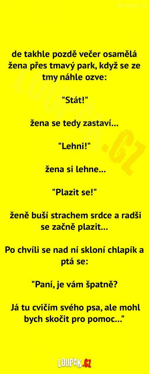  Osaměla žena v parku  