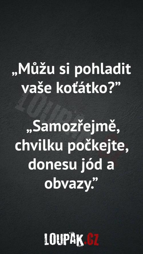 Může si pohladit koťátko