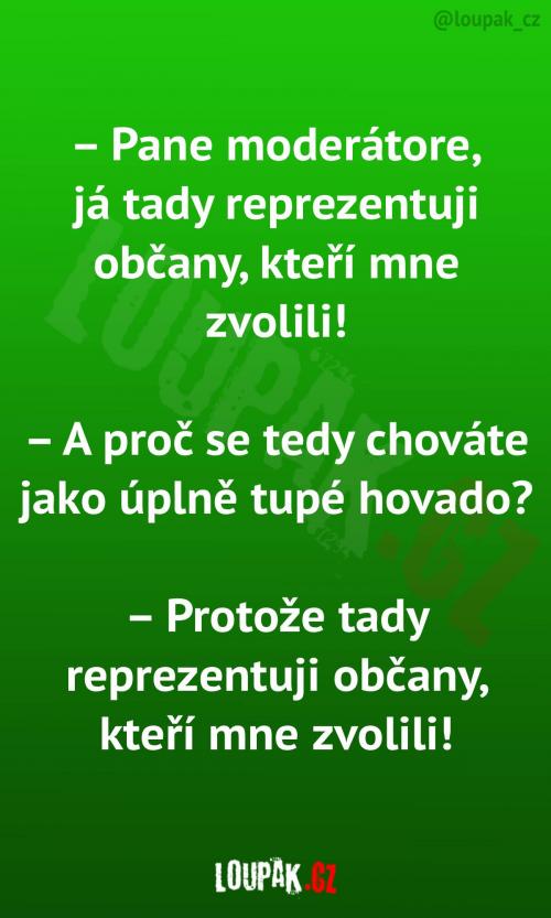 Politik pouze reprezentuje občany!
