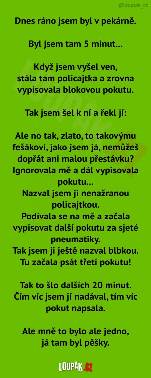  Jak rozhodně nezacházet s policajty 