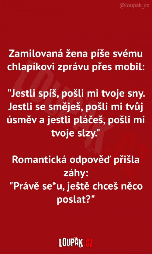 Zamilované zprávy    