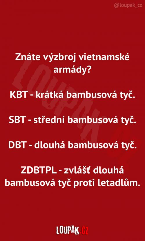 Výzbroj vietnamské armády 