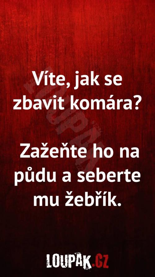 Jak se zbavit komára