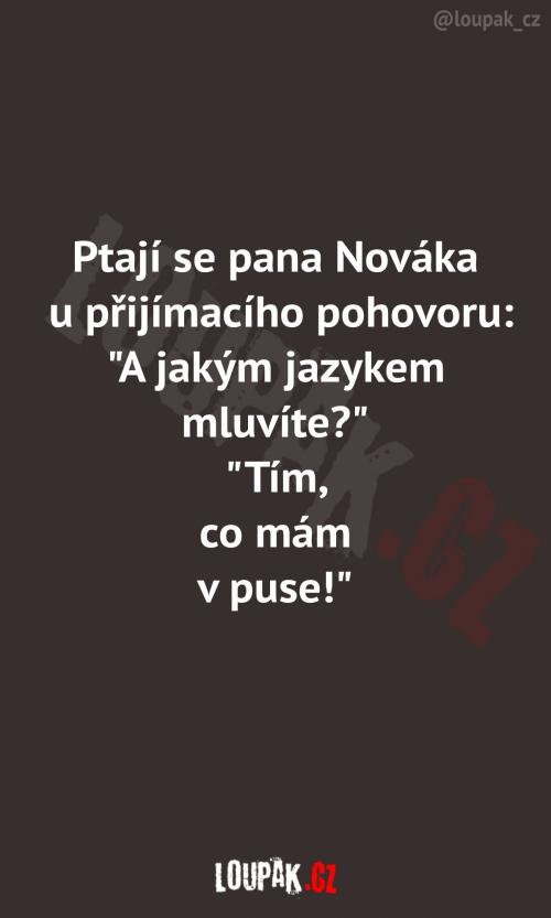 Myslím, že pán Novák se má ještě hodně co učit 