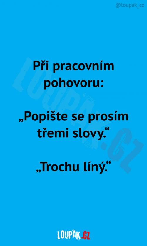 Popište se třemi slovy...