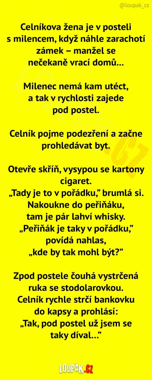Celník, jeho žena a její milenec
