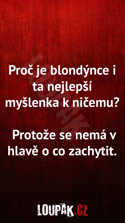 Proč je blondýnce myšlenka k ničemu 