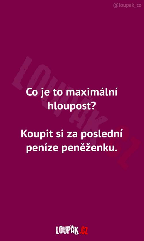  Co je to maximální hloupost 
