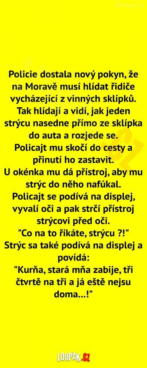 Hlídání vinných sklípků 