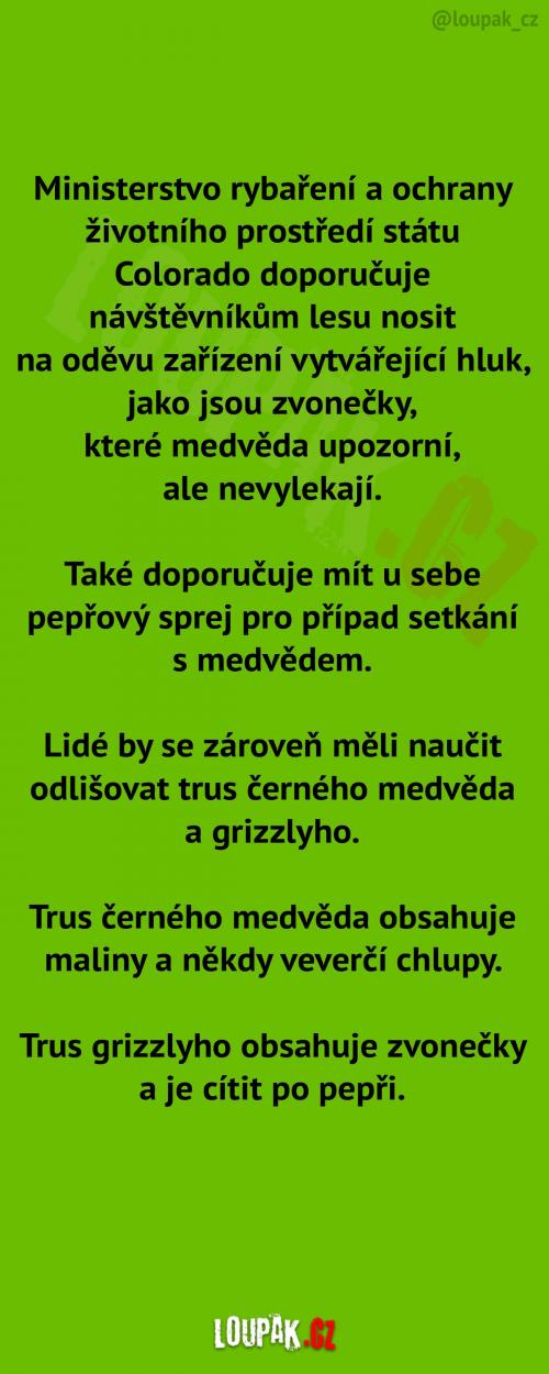 Doporučení pro případ setkání s medvědem