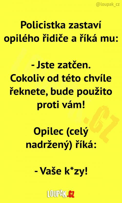 Policistka zatýká opilého muže