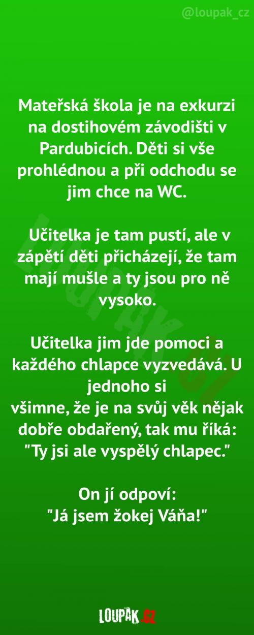  Vysoké pisoáry v Pardubicích 