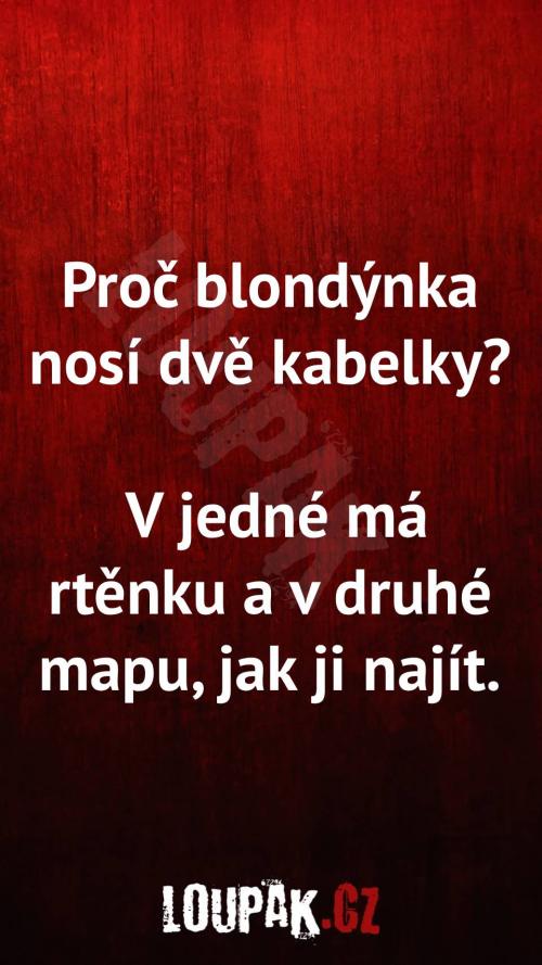  Proč blondýnky nosí dvě kabelky 