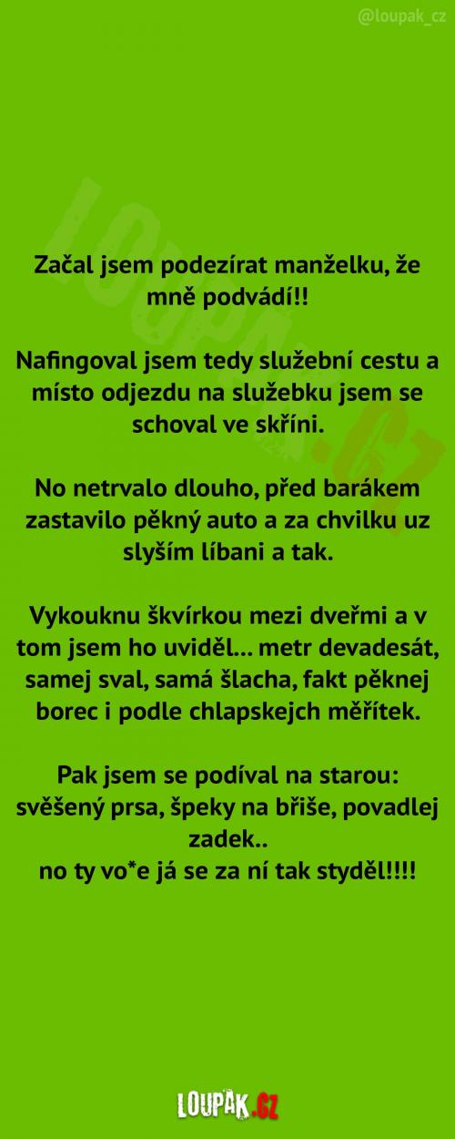  Služební cesta manžela  