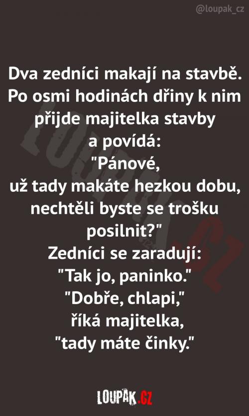  Paní majitelka ví, jak na ně 