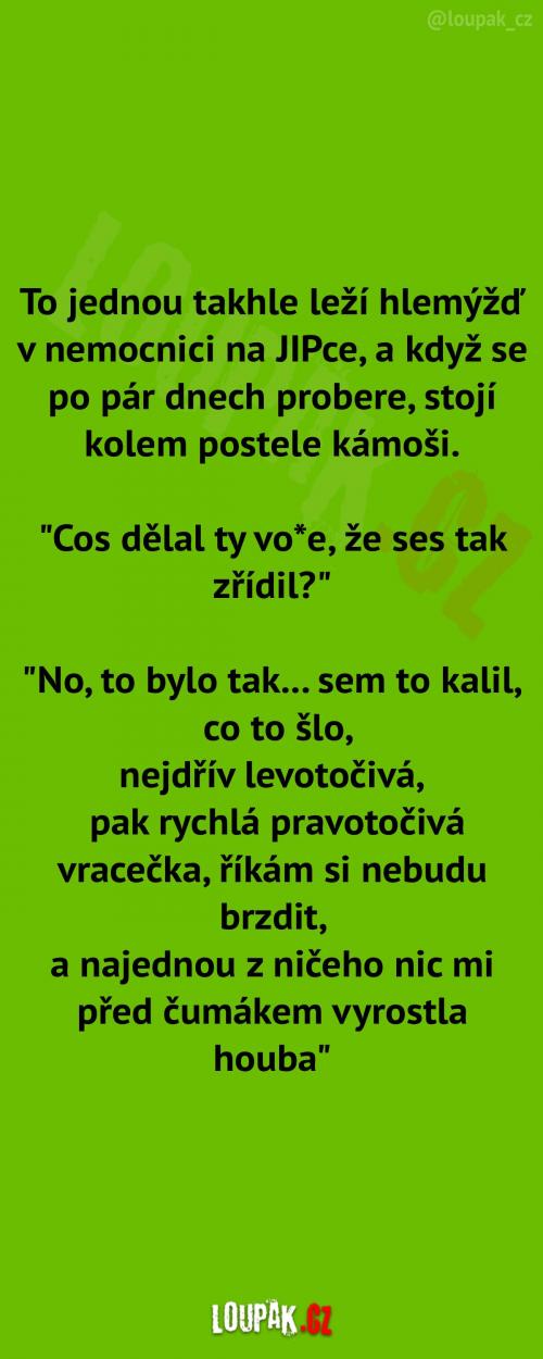 Nemocný hlemýžď na JIPce