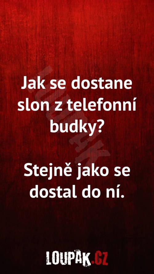Jak se dostane slon z telefonní budky
