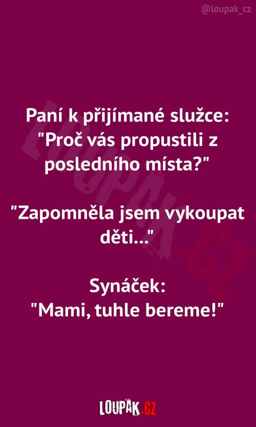  Hlavní důvod k najmutí služky 