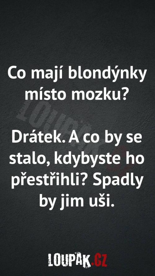  Co mají blondýnky místo mozku 