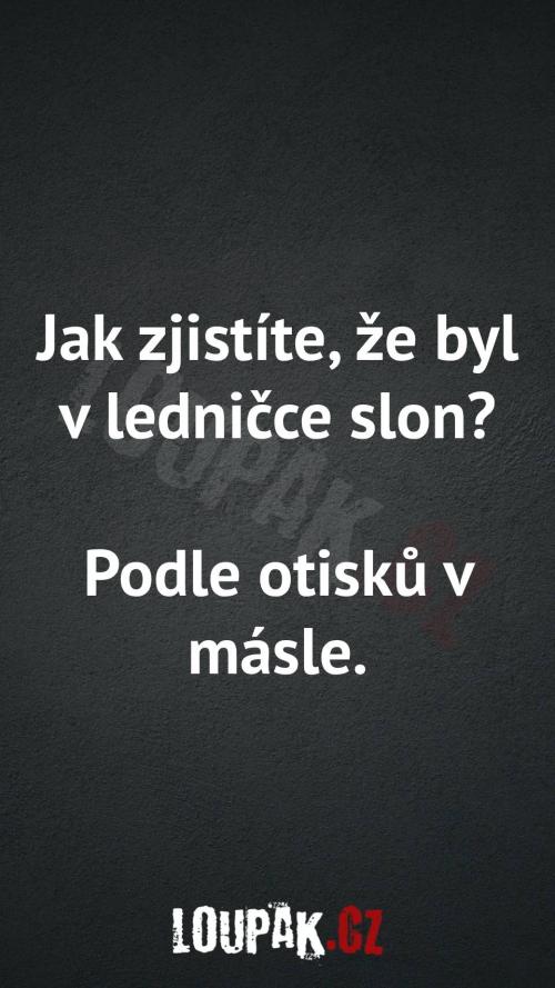 Jak zjistit, že byl slon v ledničce